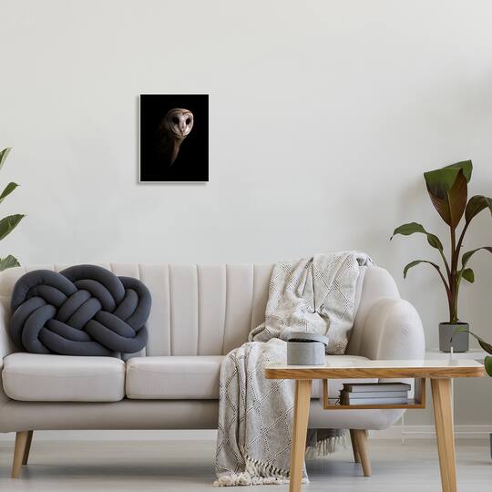 Stupell Industries Intense Barn Owl Black Shadow Photography Wall Plaque Art